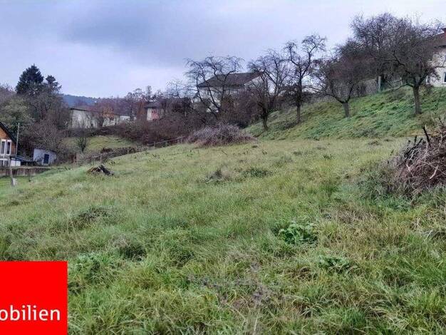 Grundstück zum Kauf 32.500 € 1.699 m² Grundstück Sontra Sontra 36205