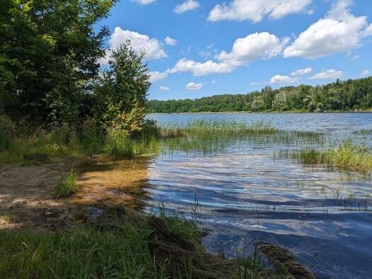 Grundstück zum Kauf 63.000 € 550 m² Grundstück Kemberg 06901