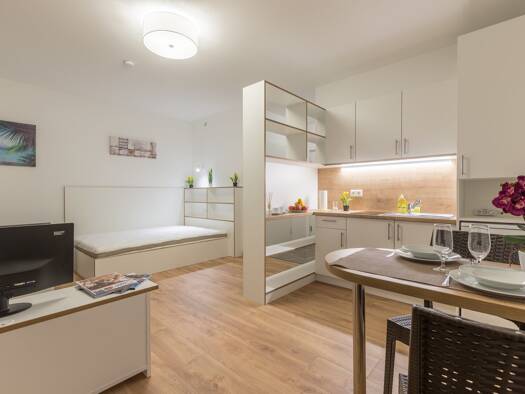 Wohnung zur Miete 519 € 1 Zimmer 30 m² Viktor-Franz-Hess-Straße Wiener Neustadt 2700