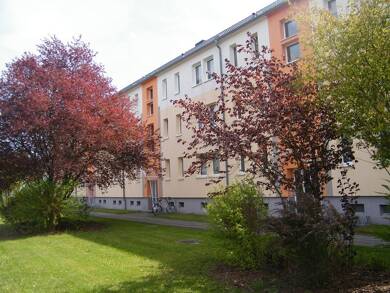 Wohnung zur Miete 176 € 1 Zimmer 30,4 m² EG frei ab sofort Altnauer Straße 118 Calau Calau 03205