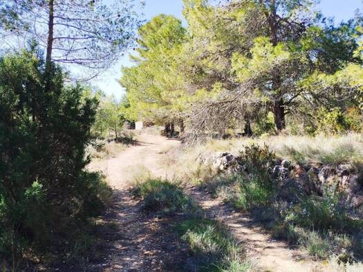 Acker-/Waldstück zum Kauf 148.000 € la Morera de Montsant 43361