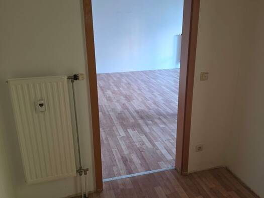 Terrassenwohnung zur Miete 420 € 1,5 Zimmer 46 m² frei ab sofort Kronach Kronach 96317