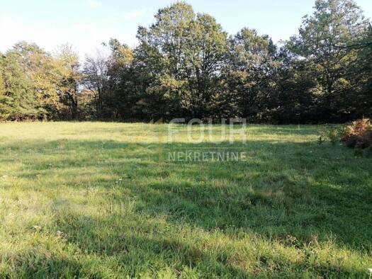 Acker-/Waldstück zum Kauf 22.000 € Grobnik, Čavle Čavle 51219