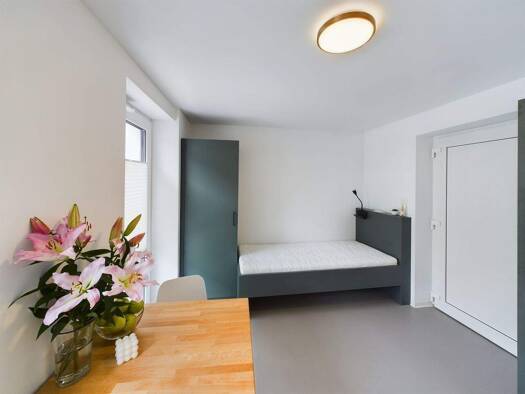 Studio zur Miete 580 € 1 Zimmer 22,1 m² 1. Geschoss frei ab 01.06.2026 Abraham 12 Innenstadt Oldenburg (Oldenburg) 26122