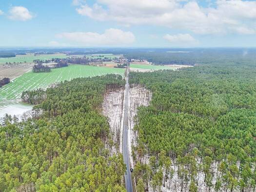 Forstwirtschaft zur Versteigerung 45.000 € 63.954 m² Grundstück Werben 03096