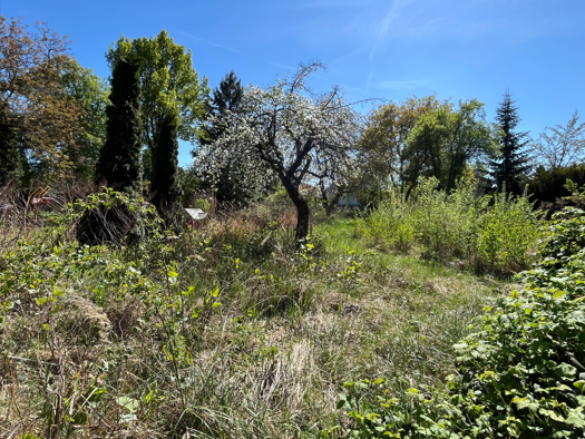 Grundstück zum Kauf 549.000 € 1.001 m² Grundstück Mahlsdorf Berlin 12623