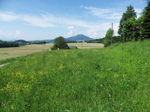 Grundstück zum Kauf 313.680 € 3.921 m² Grundstück Maria Saal 9063