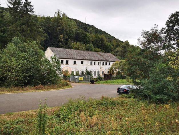 Lagerhalle zum Kauf 500 m² Lagerfläche Obermoschel 67823