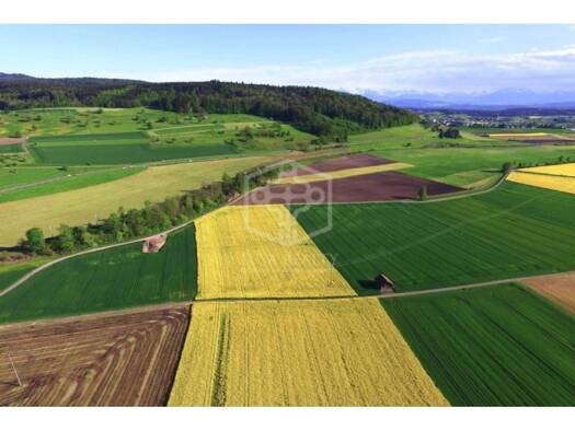 Acker-/Waldstück zum Kauf 1.200.000 € Portezuelo 00000