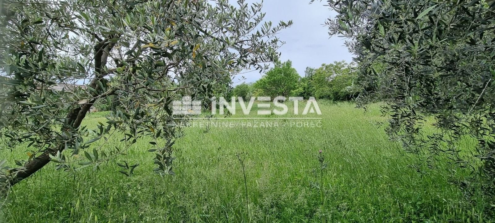 Land-/Forstwirtschaft zum Kauf 145.000 € Porec center