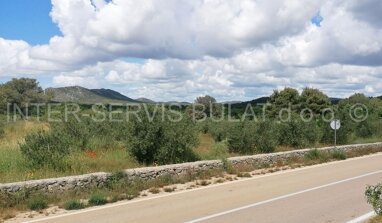 Land-/Forstwirtschaft zum Kauf 144.000 € Vodice center