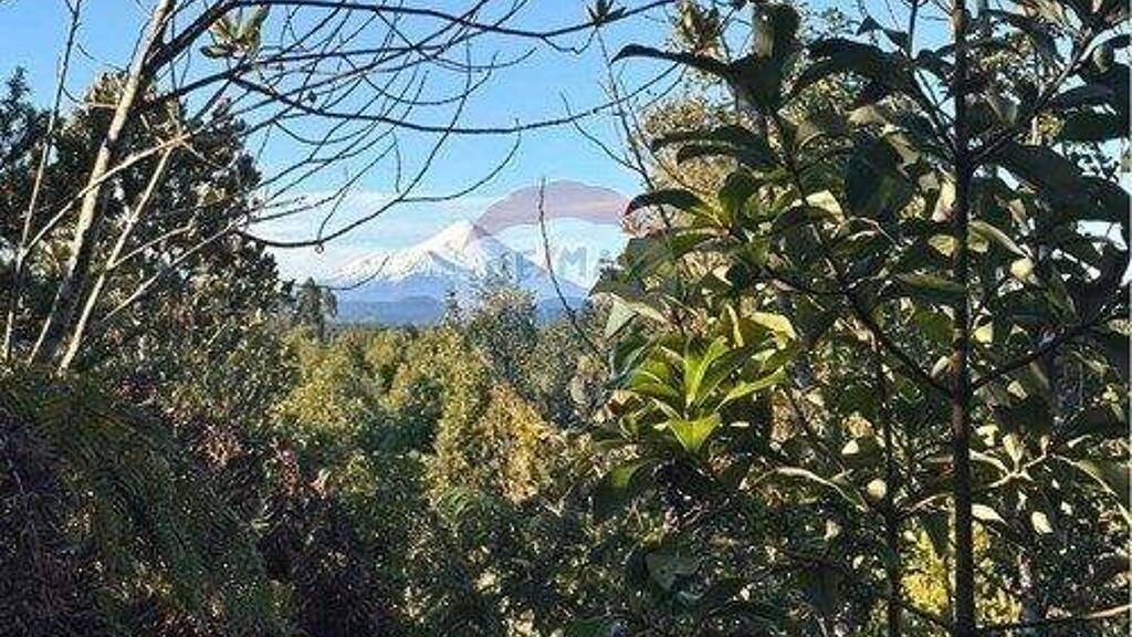 Büro zum Kauf 35.000.000 € Puerto Varas