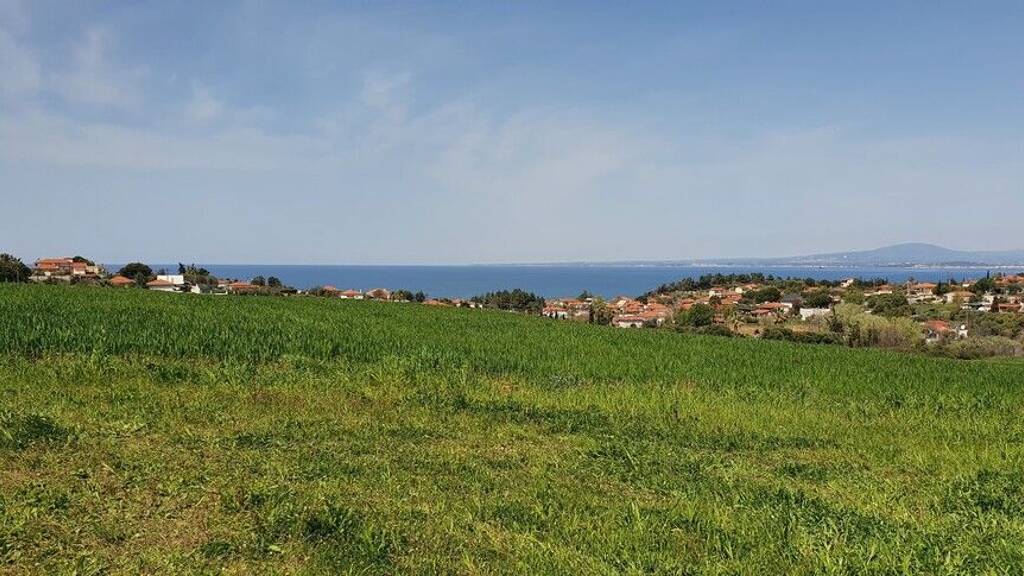 Land-/Forstwirtschaft zum Kauf 300.000 € 5.250 m² Grundstück Chalkidiki