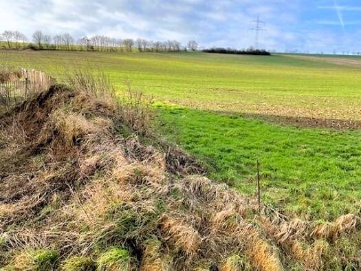 Grundstück zum Kauf 160.000 € 888 m² Grundstück Muldenau Nideggen 52385