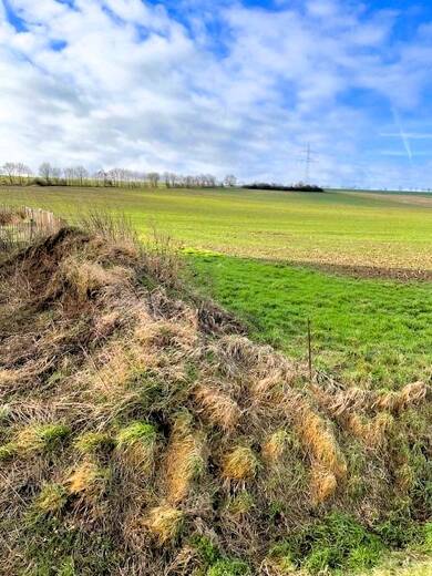 Grundstück zum Kauf 160.000 € 888 m² Grundstück Muldenau Nideggen 52385