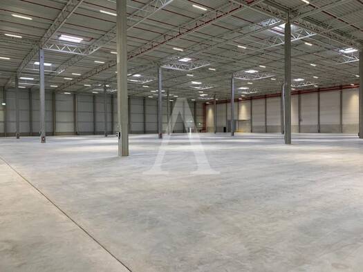 Halle/Industriefläche zur Miete - Erstbezug provisionsfrei 10.369 m² Lagerfläche teilbar ab 3.491 m² Wißkirchen Euskirchen 53881