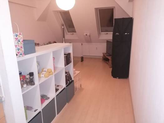 Wohnung zur Miete 270 € 1 Zimmer 27 m² frei ab 01.11.2026 Südvorstadt Leipzig 04275