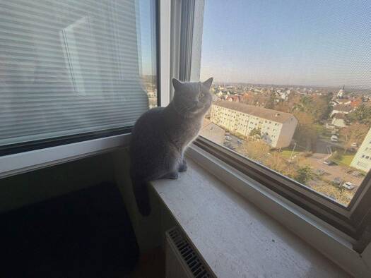 Wohnung zum Kauf 265.000 € 3 Zimmer 75 m² 9. Geschoss Bischofsheim Maintal 63477