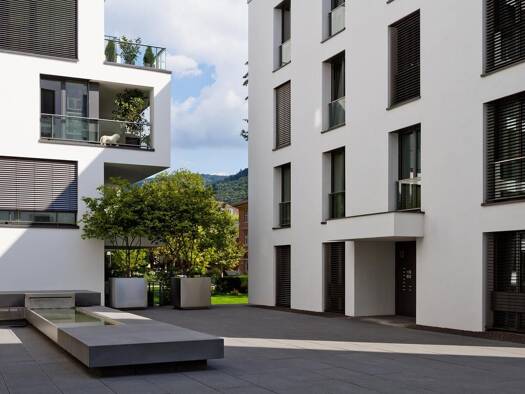 Wohnung zur Miete 1.050 € 1 Zimmer 41,3 m² Geschoss EG/4 frei ab sofort Bergheim Heidelberg 69115