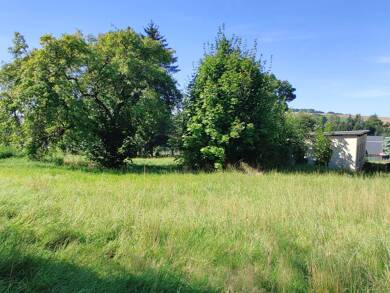 Grundstück zum Kauf 54.500 € 1.651 m² Grundstück Leubsdorf Leubsdorf 09573
