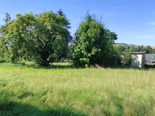 Grundstück zum Kauf 54.500 € 1.661 m² Grundstück Leubsdorf 09573