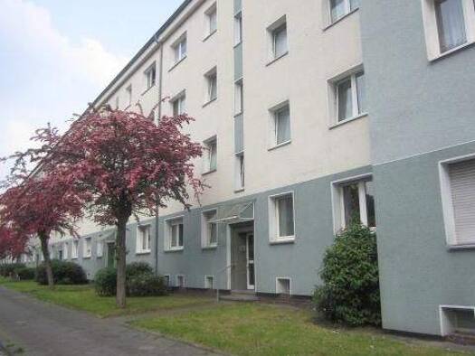 Wohnung zur Miete 401 € 2 Zimmer 53,4 m² 3. Geschoss frei ab 01.02.2026 Bismarckstr. 30 Schalke Gelsenkirchen 45888