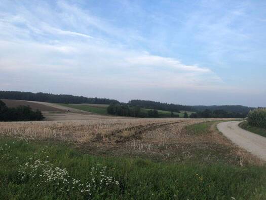 Land-/Forstwirtschaft zum Kauf 620.000 € 44.180 m² 44.180 m² Grundstück Am Osterberg Hemhausen Au in der Hallertau 84072