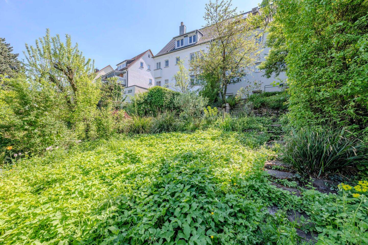 Property thumbnail 19