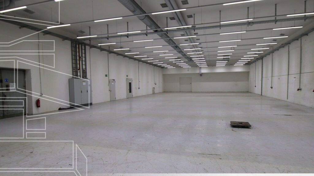 Lagerhalle zur Miete 4,01 € 874 m² Lagerfläche Ebingen Albstadt 72458