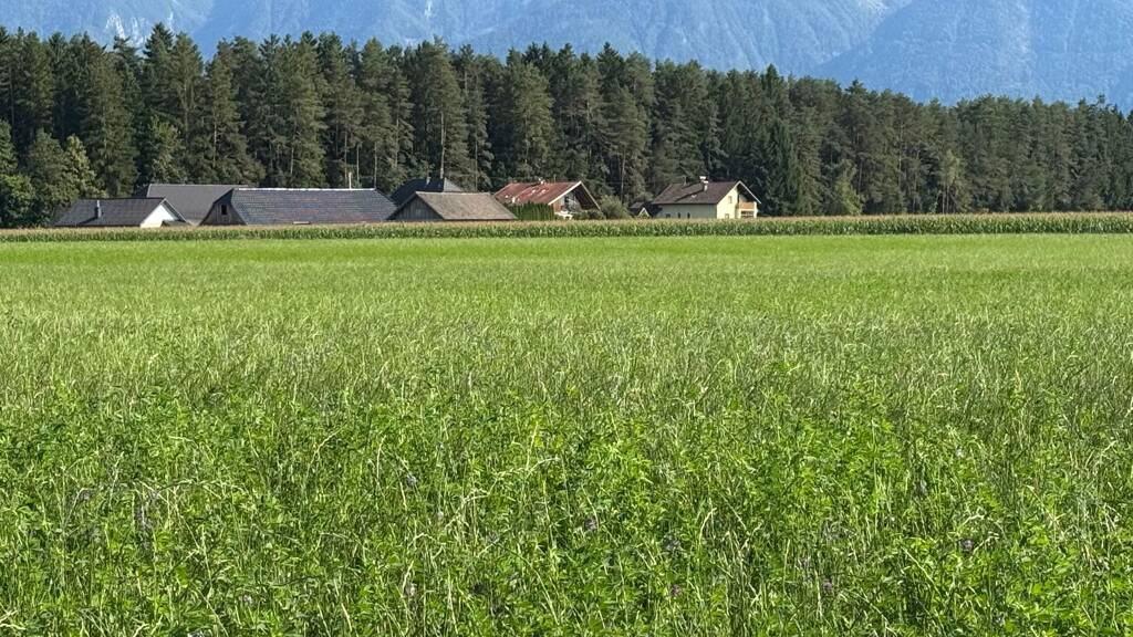 Landwirtschaftliche Fläche zum Kauf 600.000 € 84.000 m² Mittlern