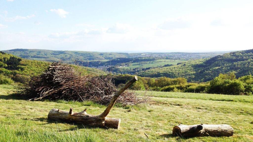 Grundstück zum Kauf 2.800.000 € 4.175 m² Grundstück Eppenhain Kelkheim (Taunus) 65779