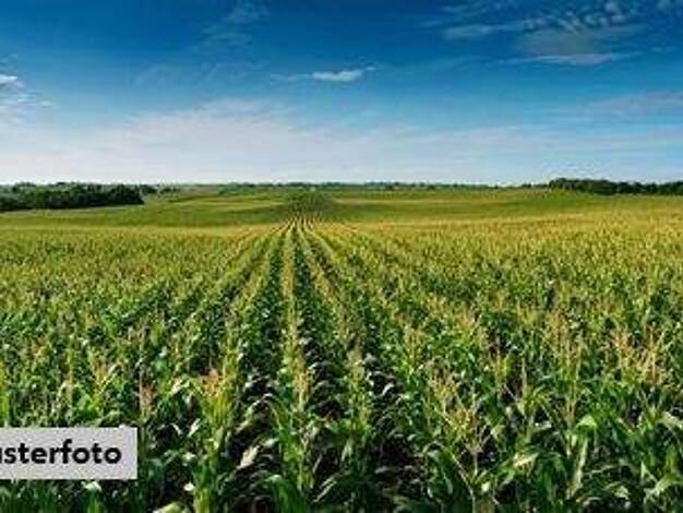 Land-/Forstwirtschaft zum Kauf 41.800 € 9.102 m² Grundstück Schwaikheim 71409