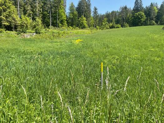 Grundstück zum Kauf 294.100 € 3.460 m² Grundstück Ledenitzen 9581