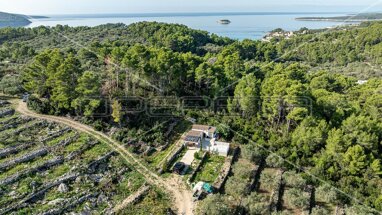 Land-/Forstwirtschaft zum Kauf 415.000 € Vela Luka Vela Luka, Marina