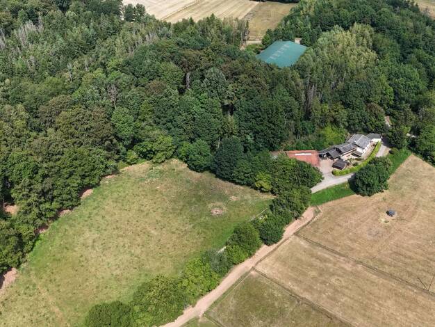 Haus zum Kauf 1.280.000 € 10 Zimmer 67.000 m² Grundstück frei ab sofort Reidelbacher Straße 17 Gehweiler Wadern 66687