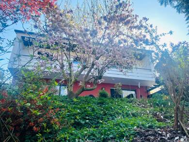 Haus zum Kauf provisionsfrei 439.000 € 6 Zimmer 172 m² 886 m² Grundstück Beurig Saarburg 54439