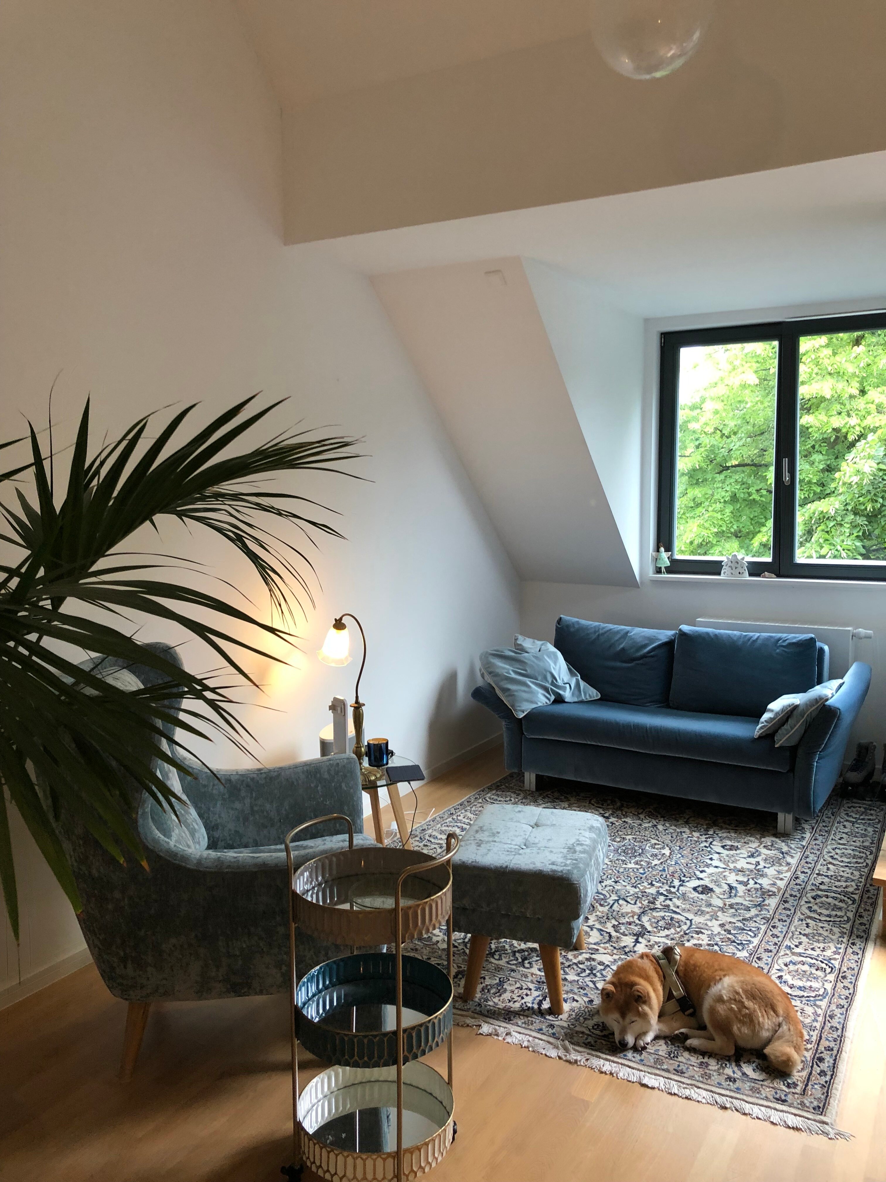 Apartment zur Miete 1.800 € 2,5 Zimmer 65 m²<br/>Wohnfläche 3.<br/>Geschoss ab sofort<br/>Verfügbarkeit Breisgauer Straße 49a Zehlendorf Berlin 14129