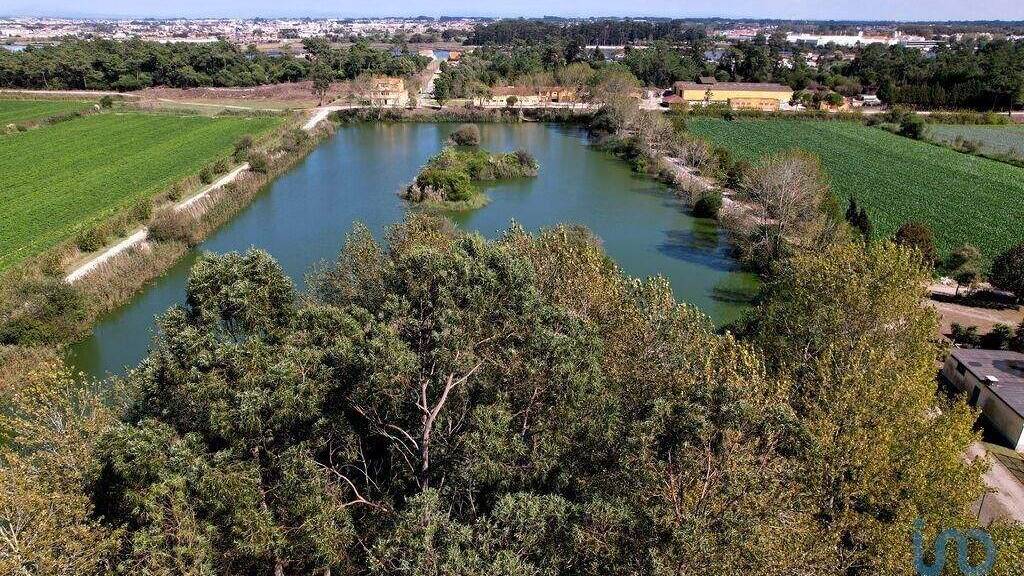 Haus zum Kauf 25.000.000 € 1.273.500 m² Grundstück Gafanha Do Carmo 3830