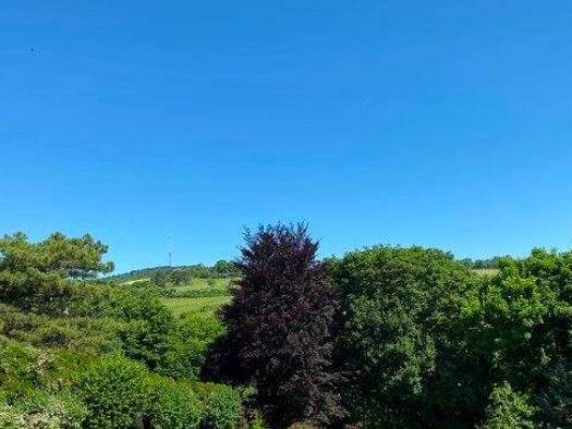 Reihenmittelhaus zur Miete 2.309 € 5 Zimmer Wien, Döbling 1190