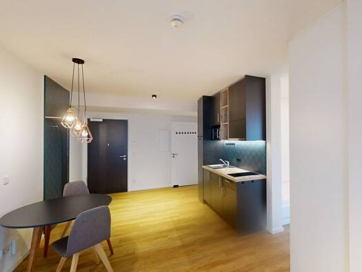 Wohnung zur Miete 799 € 1 Zimmer 25,4 m² 3. Geschoss Lyoner Straße Schwanheim West 60528