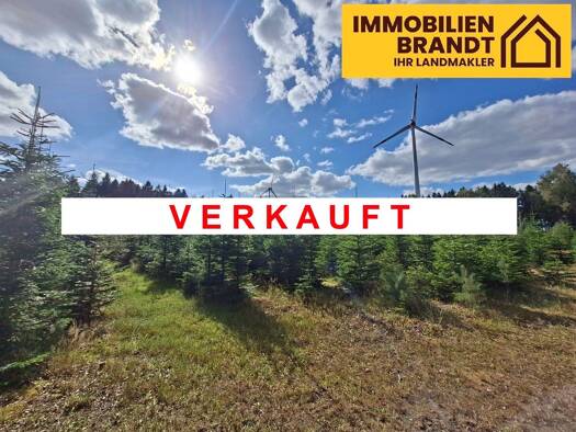 Forstwirtschaft zum Kauf 46.829 m² Grundstück Issendorf Harsefeld 21698