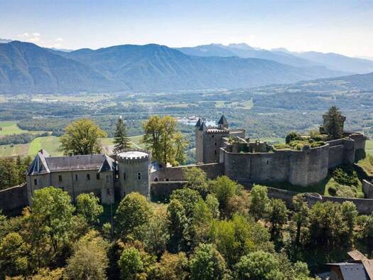 Schloss zum Kauf 3.500.000 € 17 Zimmer 800 m² 7.465 m² Grundstück Saint Pierre de l Albigny 74940