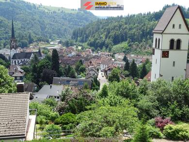 Wohnung zum Kauf 105.000 € 2 Zimmer 44 m² 2. Geschoss Schönau im Schwarzwald 79677