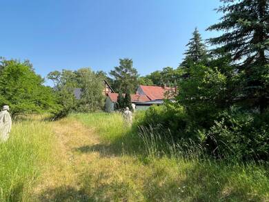 Grundstück zum Kauf 500.000 € 5.033 m² Grundstück Gniest Kemberg 06773
