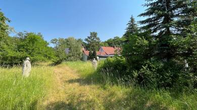 Grundstück zum Kauf 500.000 € 5.033 m² Grundstück Gniest Kemberg 06773