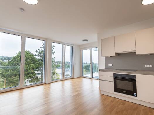 Terrassenwohnung zur Miete - Erstbezug 1.310 € 2 Zimmer 47,9 m² 2. Geschoss frei ab sofort Wien 1190