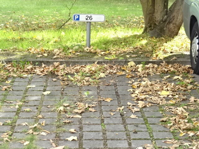 Außenstellplatz zur Miete - Ansicht 5