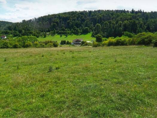 Land-/Forstwirtschaft zum Kauf 19.000 € 10.000 m² Pfersdorf Hildburghausen 98646