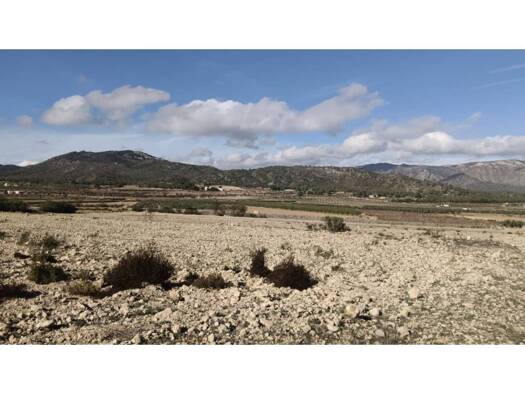 Acker-/Waldstück zum Kauf 47.999 € Salinas 00000