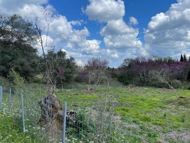 Land-/Forstwirtschaft zum Kauf 75.000 € 1.460 m² Grundstück Korfu